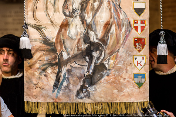 Drappellone Palio 16 Agosto 2015