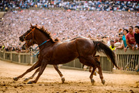 Palio Straordinario del 20 ottobre 2018. Foto: BHStudio