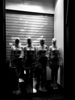 Anthea_Vigni01