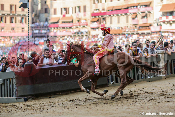 Quarta Prova Palio Agosto 2015