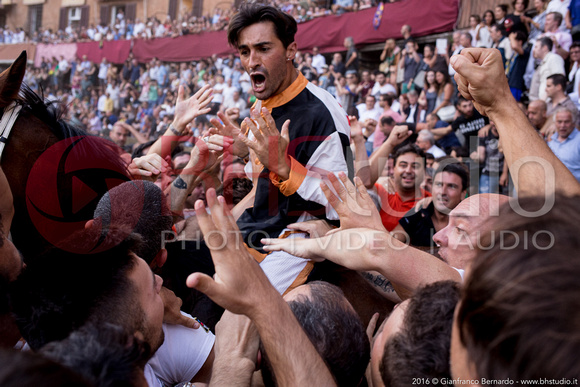 Giubilo Lupa del 2 Luglio 2016, foto di Gianfranco Bernardo. La foto può essere acquistata direttamente da qui oppure contattando BHStudio allo 0577930212 - 3406954532 o via email info@bhstudio.it