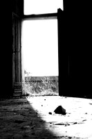 Simone_Giannettoni02
