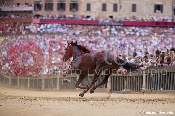 Terza Prova Palio Agosto 2015