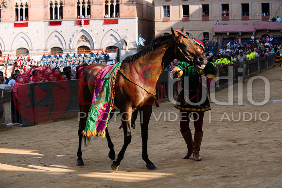 Anteprima, Palio del 16 agosto 2018. Foto: BHStudio