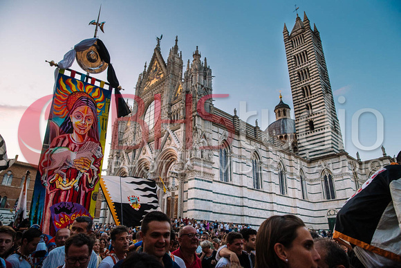 Anteprima, Palio del 16 agosto 2018. Foto: BHStudio