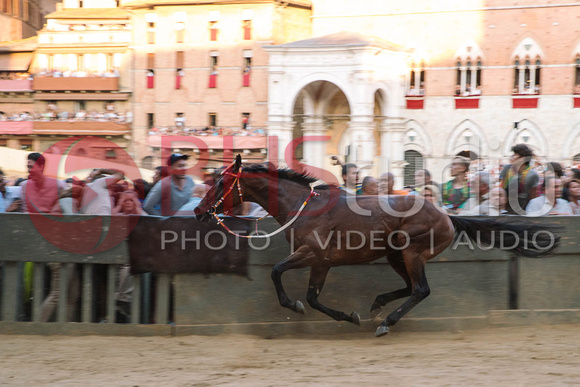 Anteprima, Palio del 16 agosto 2018. Foto: BHStudio