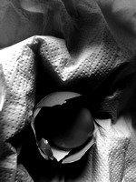 Anthea_Vigni03