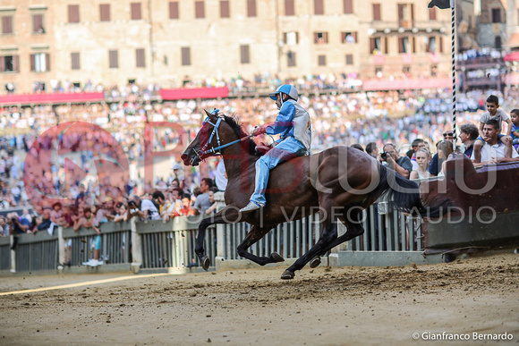 Quarta Prova Palio Agosto 2015