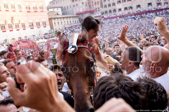 Giubilo Lupa del 2 Luglio 2016, foto di Gianfranco Bernardo. La foto può essere acquistata direttamente da qui oppure contattando BHStudio allo 0577930212 - 3406954532 o via email info@bhstudio.it