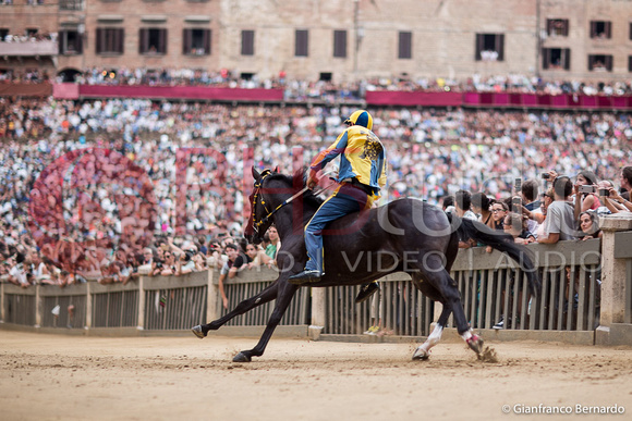 Terza Prova Palio Agosto 2015