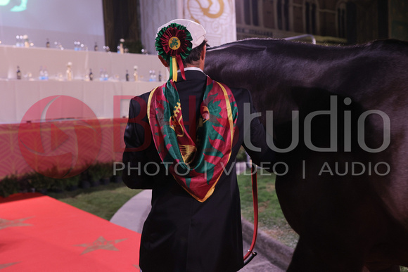 CR6_0016